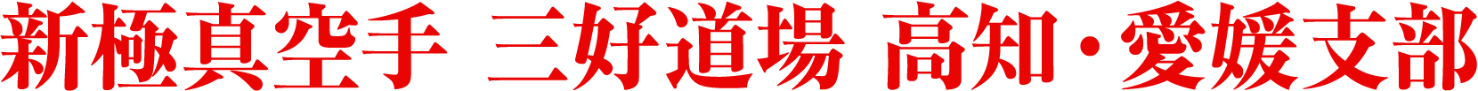 新極真空手 三好道場 高知・愛媛支部